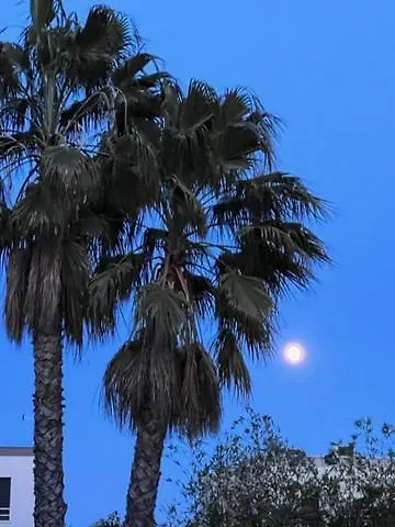 Sejour Au Calme Avec Piscine Et Jardin ベジエ